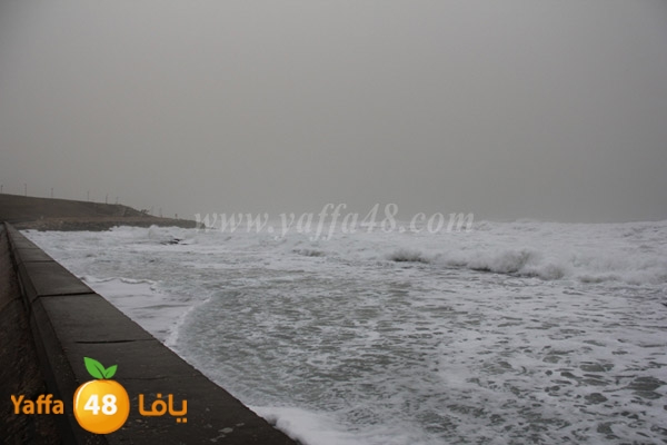 mina2 adrar jfe (8).jpg